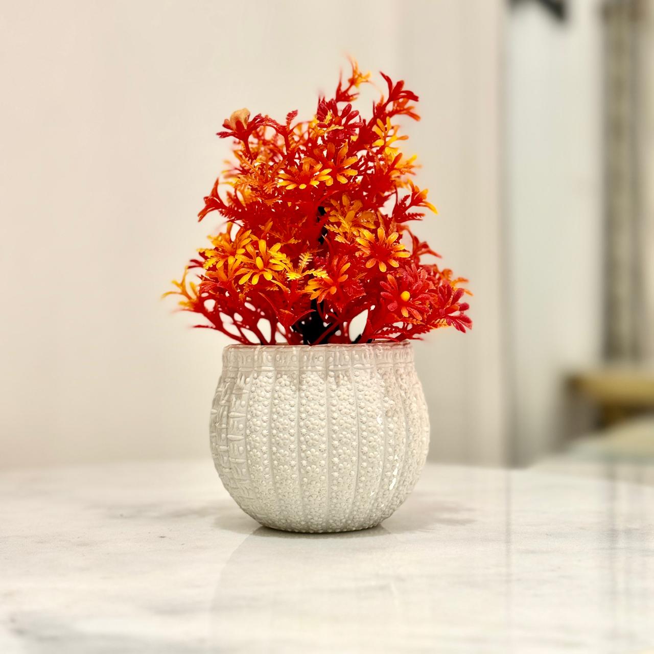 Miniature Tree planter for Home and Office Decor