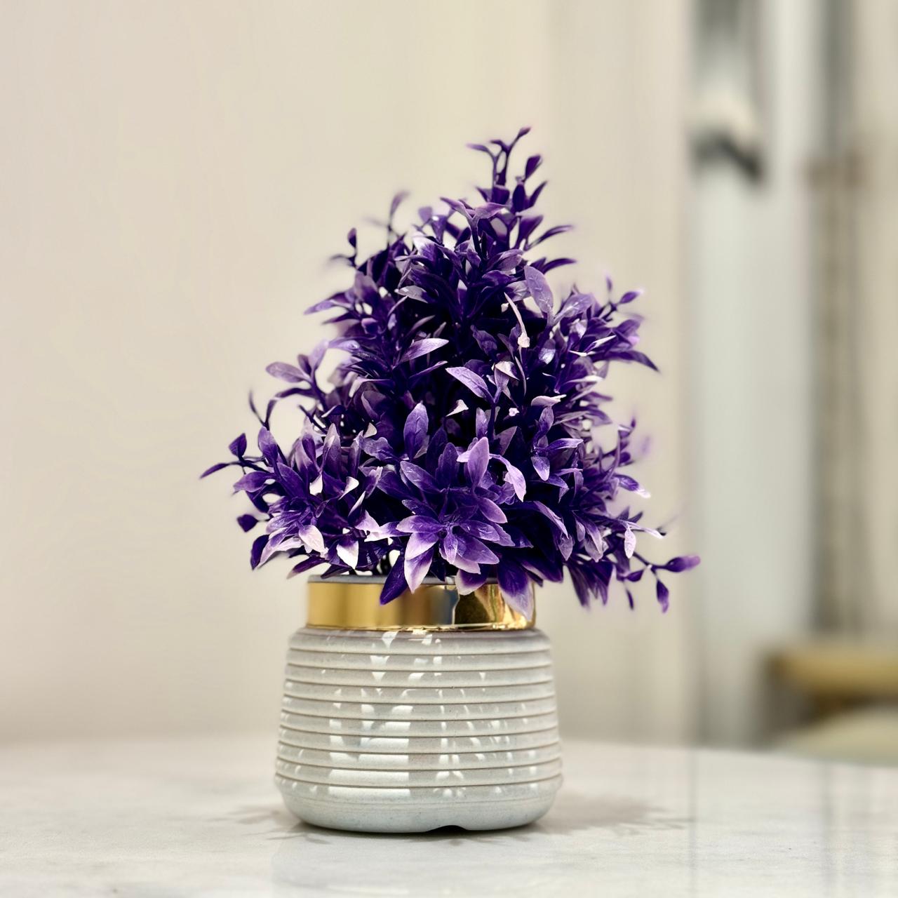 Miniature Tree planter for Home and Office Decor